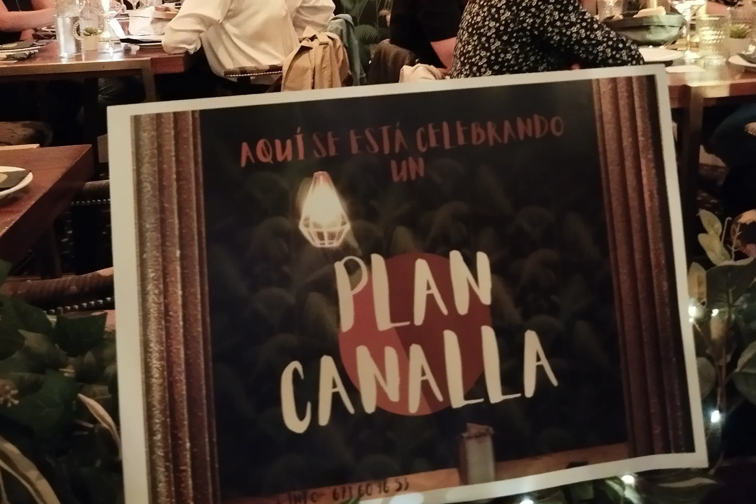 elena_arias__actividades_PlanesCanallas_programaEA